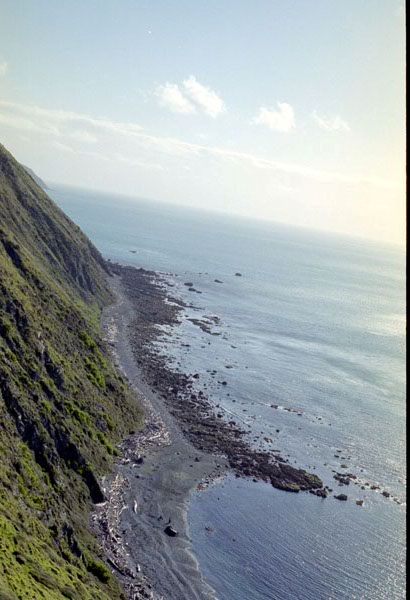 NZ-04-0015
