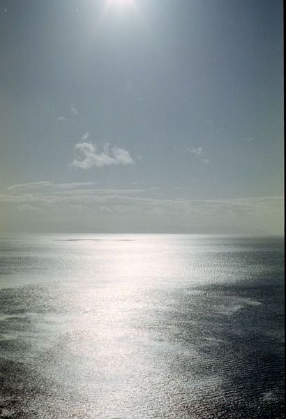 NZ-04-0016