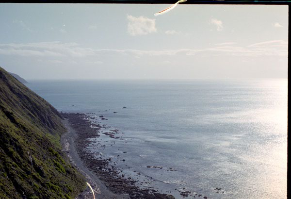 NZ-04-0018