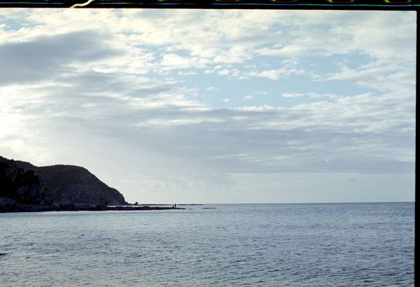 NZ-04-0019