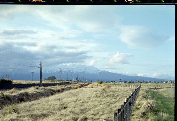 NZ-04-0020