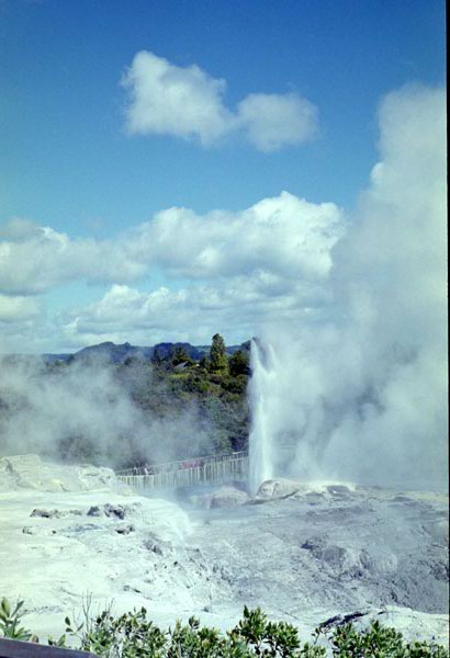 NZ-05-0003