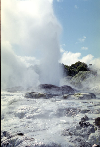 NZ-05-0004