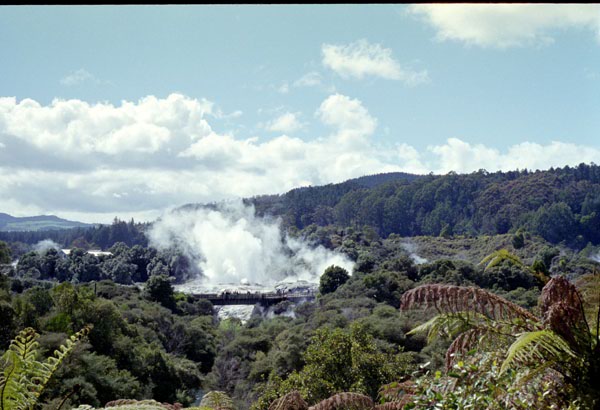 NZ-05-0006
