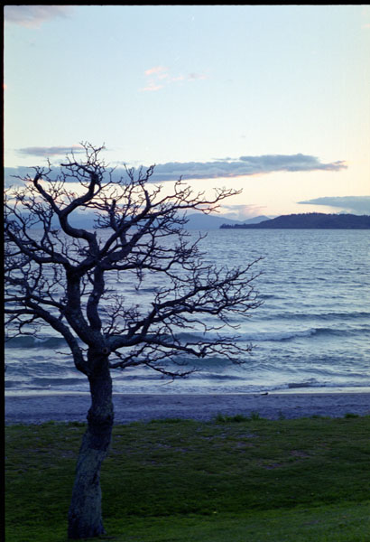 NZ-05-0009
