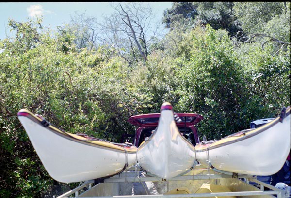 NZ-05-0010