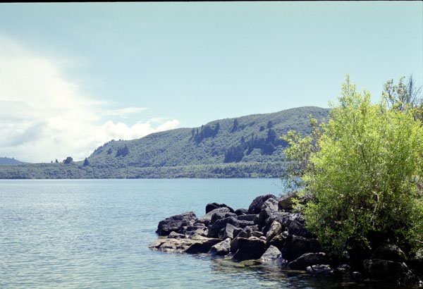 NZ-05-0015