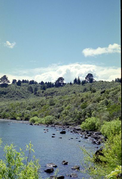NZ-05-0016