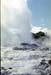 NZ-05-0004