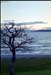 NZ-05-0009