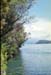 NZ-05-0013