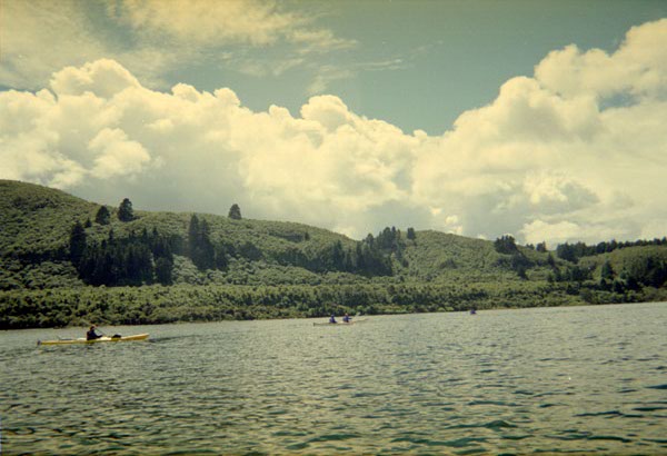 NZ-06-14-0014