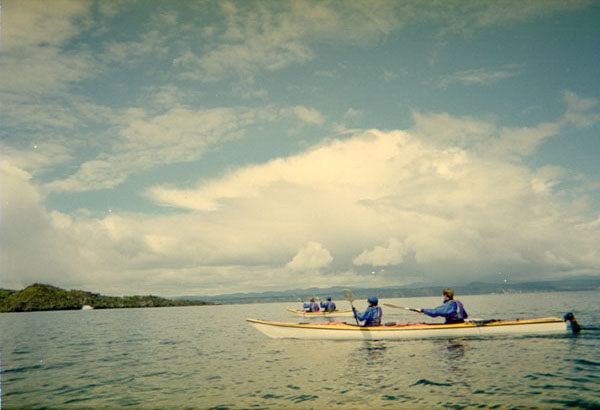 NZ-06-15-0013
