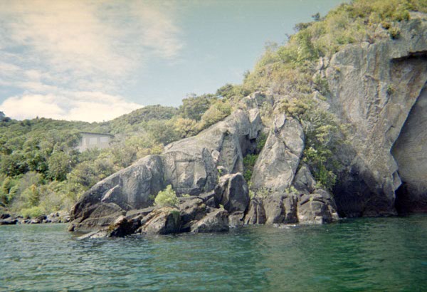 NZ-06-19-0009