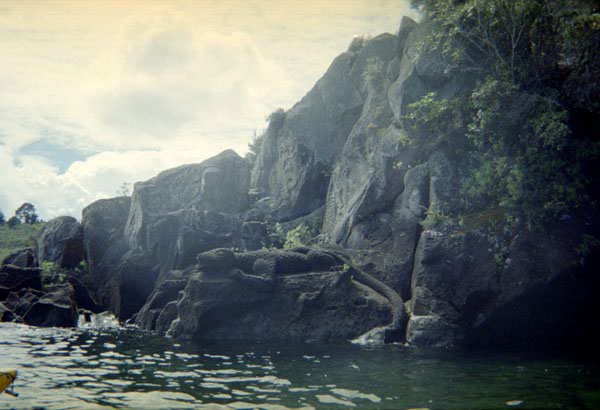 NZ-06-22-0006