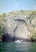 NZ-06-20-0008