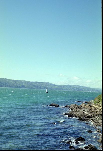 NZ-07-0003