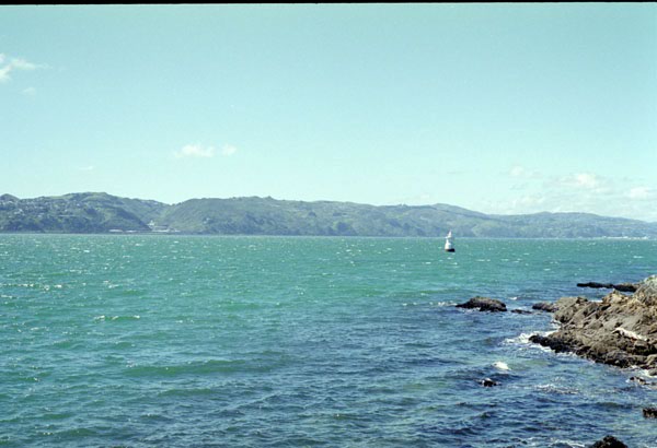 NZ-07-0004