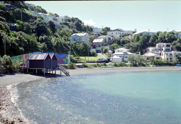 NZ-07-0005