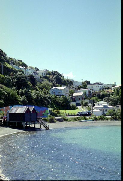 NZ-07-0006