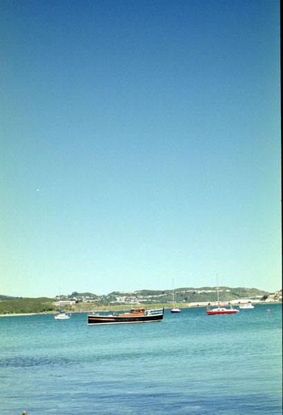 NZ-07-0009