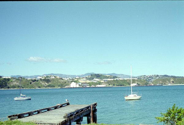 NZ-07-0017