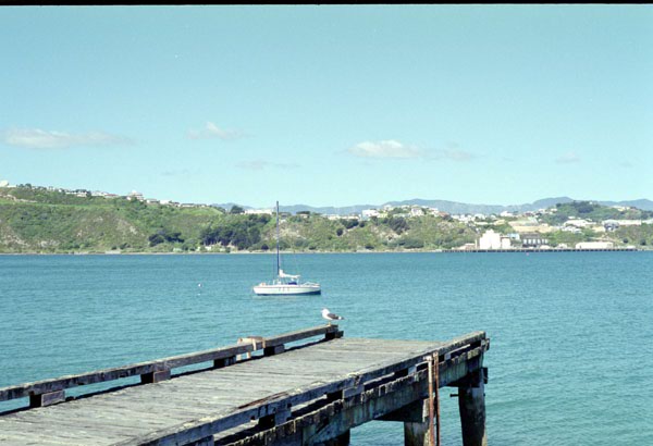 NZ-07-0019