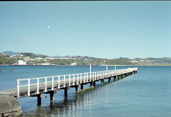 NZ-07-0020
