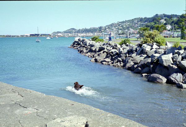 NZ-07-0024