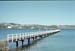 NZ-07-0020