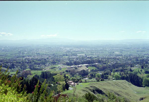 NZ-08-0003