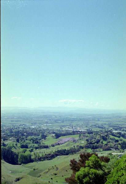 NZ-08-0004