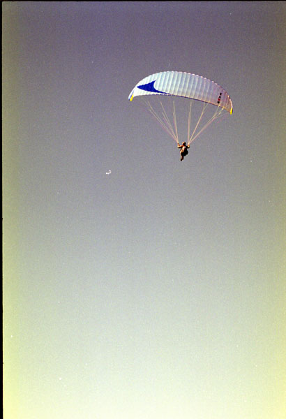 NZ-08-0005