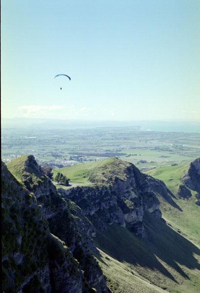 NZ-08-0007