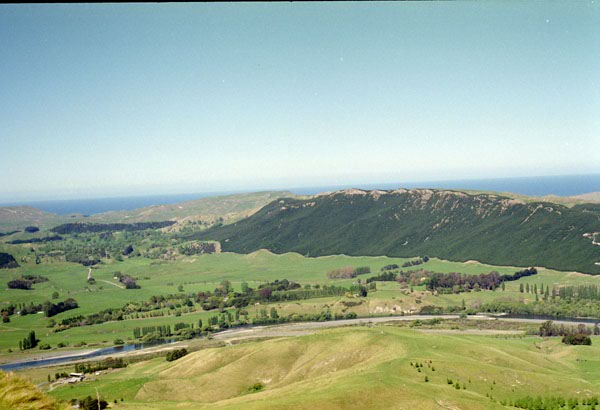 NZ-08-0008