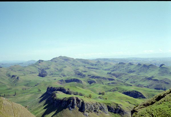 NZ-08-0010
