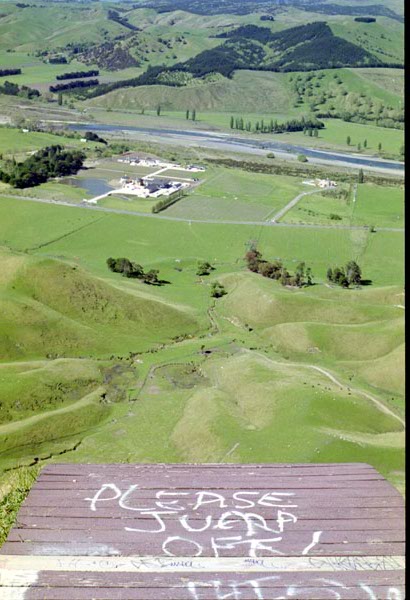 NZ-08-0013