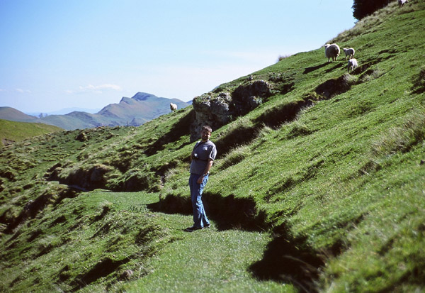 nzRoll_02-04