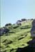 NZ-08-0016