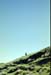 NZ-08-0018