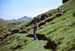 nzRoll_02-04
