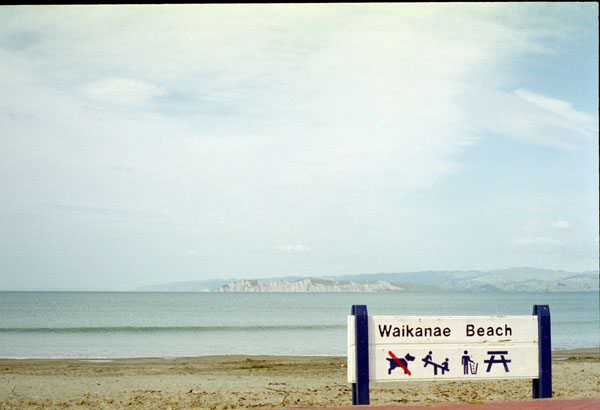 NZ-09-0005