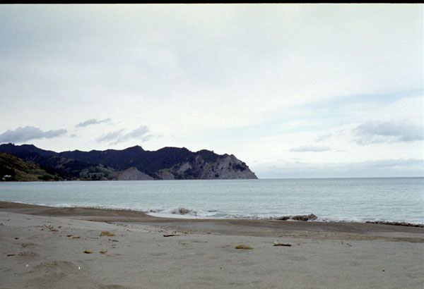 NZ-09-0010