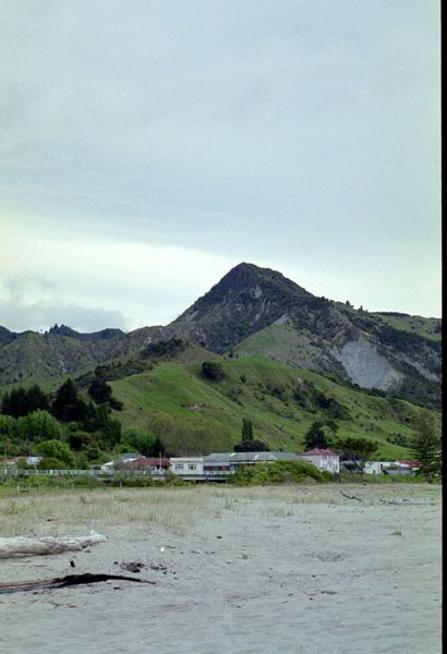 NZ-09-0011