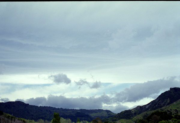 NZ-09-0012