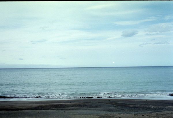 NZ-09-0013