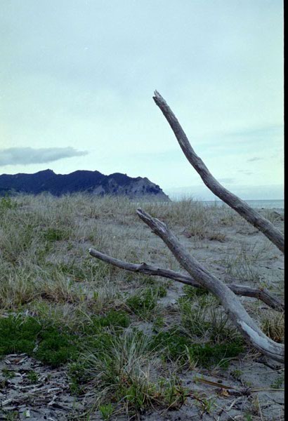 NZ-09-0014