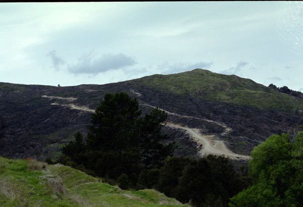 NZ-09-0017