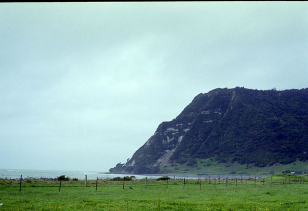 NZ-09-0020