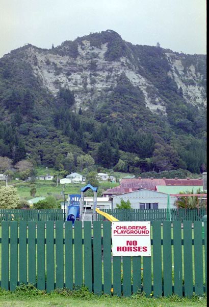 NZ-09-0022